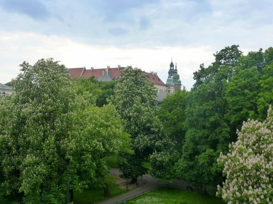 Apartament Gertrudy Belle Apartment Krakow Room photo
